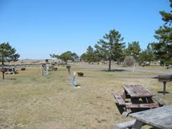 We camp for free in washington state parks with a disabled veterans pass. Salisbury Beach Ma