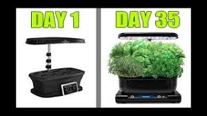 How to grow indoor vegetable garden. Grow Indoor Vegetable Garden Plants With Aerogarden Hydroponics And Led Grow Light How To Bloom And Grow Photography