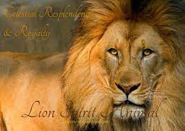 This reminds us to remain cautious of our self, find a balance in our life and. Lion Symbolism Lion Meaning 9 Spiritual Meanings Of The Lion