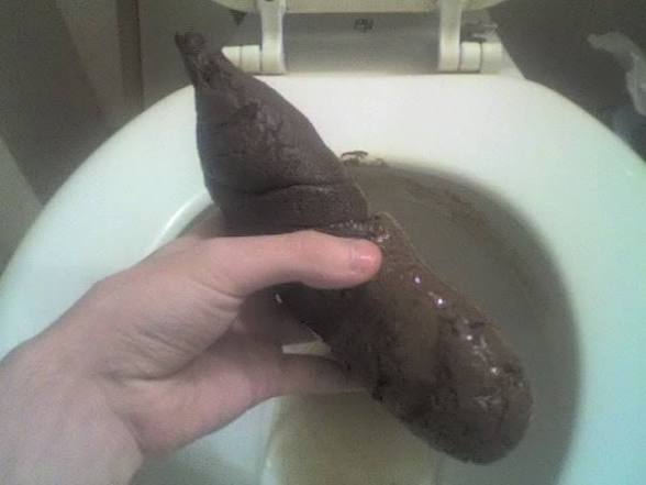 images?q=tbn:ANd9GcSQXceRMRnIC42kYgfh5Ih