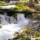 Springs & Secrets: Exploring the Magic of Karst (2BL)