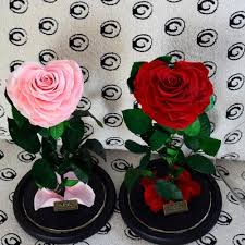 Flor Preservada , Flores Con Cúpula De Botella De Rosado