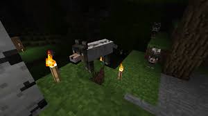 Evil Wolf Minecraft Wolf Official Minecraft Wiki wolf official minecraft wiki