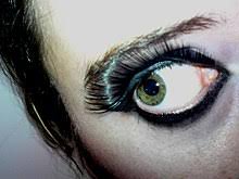 Check spelling or type a new query. Eyelash Extensions Wikipedia