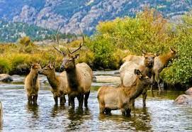We did not find results for: Rocky Mountain National Park In Colorado Colorado Com