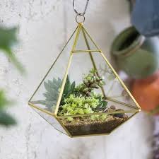 Ncyp Geometric Glass Terrarium Pyramid Vertical Hanging Planter Succulent Cacti Fern Flower Pot Container Bonsai Centerpiece Wedding Hanging Terrarium Geometric Terrarium Glass Terrarium