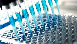 Image result for elisa