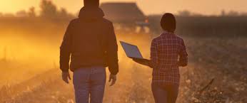 How does solar and wind power work at menards? E Shape Pilot4 Agro Industry