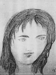 You are probably aware of Williamson descendants of Jenny Wiley. If not I  have the bloodline info.