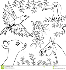 View our collection of animals and birds photos and check back weekly for further updates and additions. How To Draw Animals And Birds