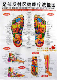 Chinese English Chart Foot Reflective Zones Health Therapy