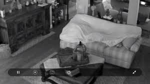 We did not find results for: My Parents Bought A Couch Cover Just To Keep The Dog Hair Off The Couch