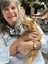 This sweet kitten is at the Tri-State Pet Expo today looking for a family  to live him ❤️ check out Harley's Angels Cat Rescue Inc! With Pamela  Krueger Hupp