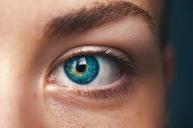 Oeil droit qui saute signification. Oeil Definition De Oeil La Langue Francaise