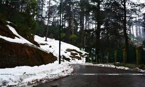 Image result for patnitop images