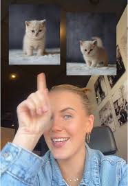 Geef broertjes een naam: Help met kattennamen!