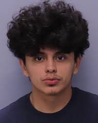 Florida Sheriffs Association