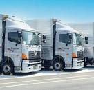 「しいんせいぶつりゅう」の画像検索結果