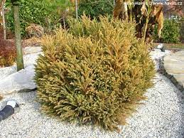 Check spelling or type a new query. Photoblog Havlis Cz