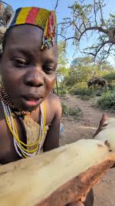 Hadzabe Tribe bush people enjoy...