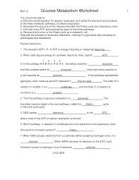 Chapter 8 Cellular Respiration Worksheet And Answers Ryan