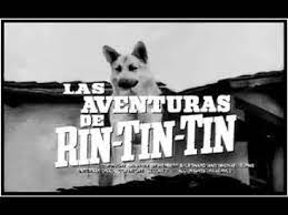 Las Aventuras De Rin Tin Tin Serie De Tv Espanol Latino Youtube Old Tv Shows Old Tv Tv