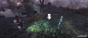 Fallout 76 宝の地図 Fallout 76 サバイバルガイド ぬかキャン
