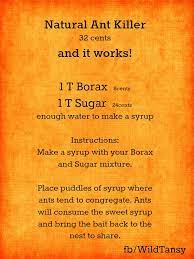 Pin On Essential Oils For Every Day