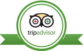 Image result for tripadvisor logo