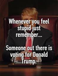 25 Quotes About Feeling Stupid Enkiquotes