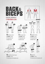 Back Biceps Workout
