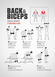 back biceps workout