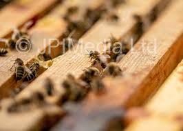 39397610-Weekend Cover story