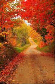 Farida Johnson (jofarida760)