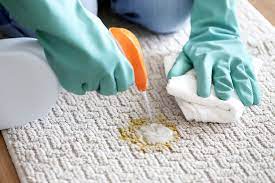 For smaller messes use a spoon or butter knife. How To Remove Vomit Stains From Carpet