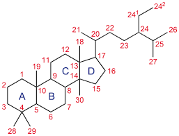 It is essential for the normal function of all animal cells and is a fundamental element of their cell membranes. Steroid Wikipedia