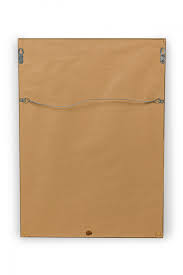 Image result for Monothecium