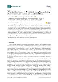 Image result for Dicoma arenaria