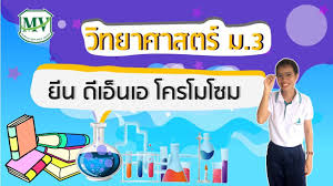 Maybe you would like to learn more about one of these? à¸§ à¸—à¸¢à¸²à¸¨à¸²à¸ªà¸•à¸£ à¸¡ 3 à¹‚à¸„à¸£à¹‚à¸¡à¹‚à¸‹à¸¡ à¸¢ à¸™ Dna Youtube