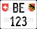 informationen fahrzeugausweise ch