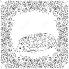 Best seller sloth coloring book for adults: Coloring Page With Lovely Hedgehog In The Garden Coloring Book Royalty Free Cliparts Vectors And Stock Illustration Image 66786140