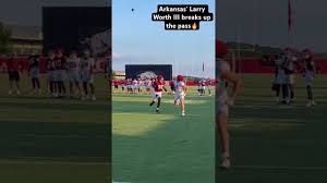 Arkansas' Larry Worth III breaks up pass during fall camp