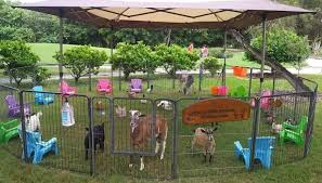 We did not find results for: Every Kids Dream Llc Horse Drawn Carriage Pony Rides Mobile Petting Zoo Home Facebook