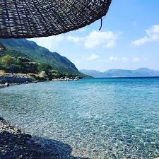 Hakan Kose 2015 Sogut Koyu Mavi Akvaryum Pansiyon Picture Of Mavi Akvaryum Otel Sogut Tripadvisor