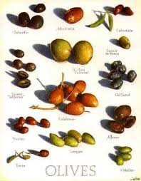 Love This Illustrated Poster Types Of Olives Cooks Illustrated Olive
