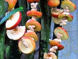 Wild Bird Food Garland Wild Bird Feeders Bird Feeders Winter Bird