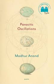 Pradeep Anand An Indian in Cowboy Country by Pradeep Anand, Paperback