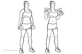 Find related exercises and variations along with expert tips. Standing Dumbbell Bicep Hammer Curls Workoutlabs Exercise Guide