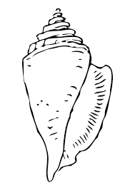 Das war den fischern früher natürlich ganz und gar nicht recht. Malvorlage Muscheln Und Seesterne Coloring And Malvorlagan