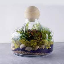 12 Danish Terrarium Glass Dome Cloche